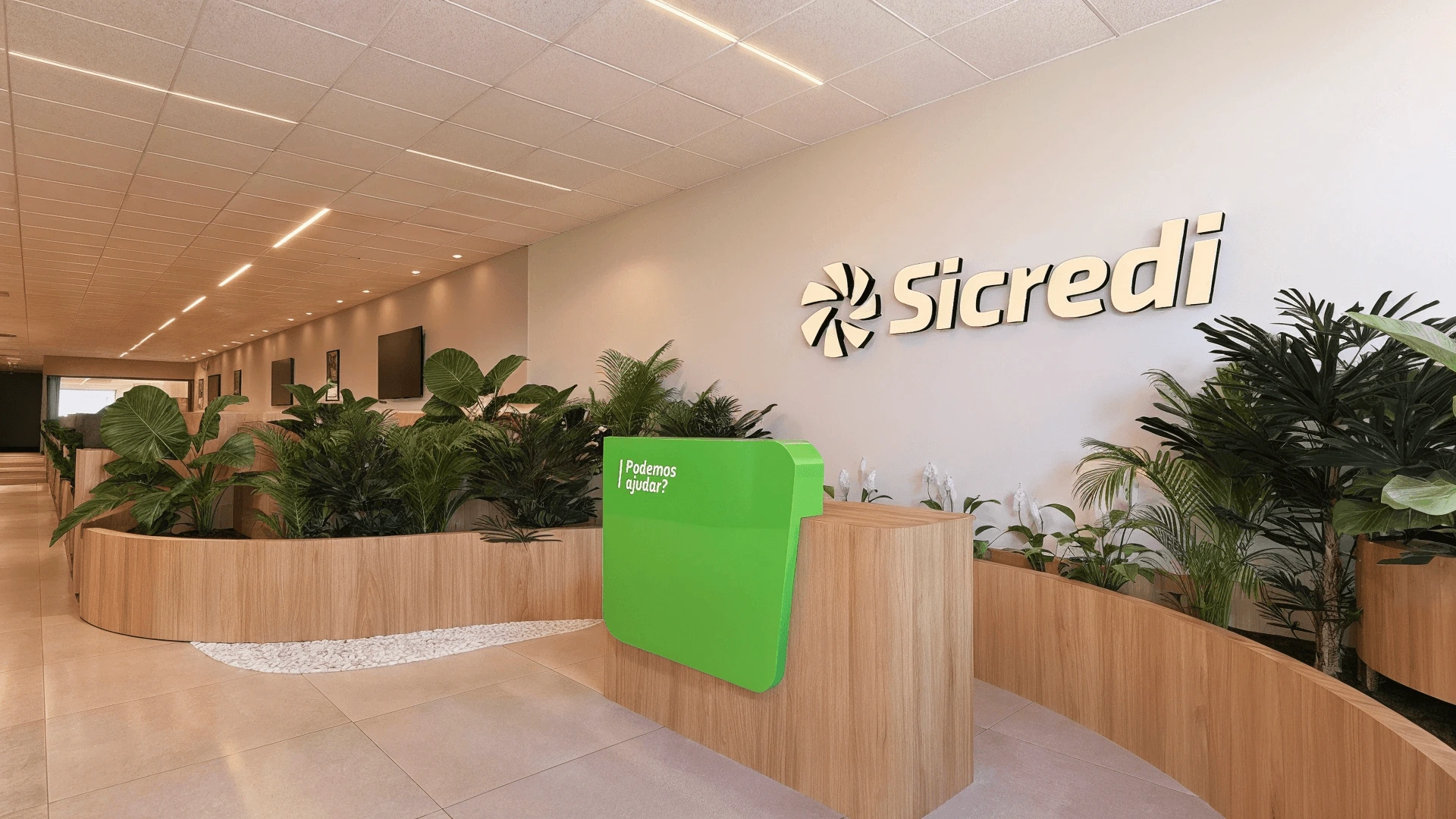 Projeto Sicredi Suzano